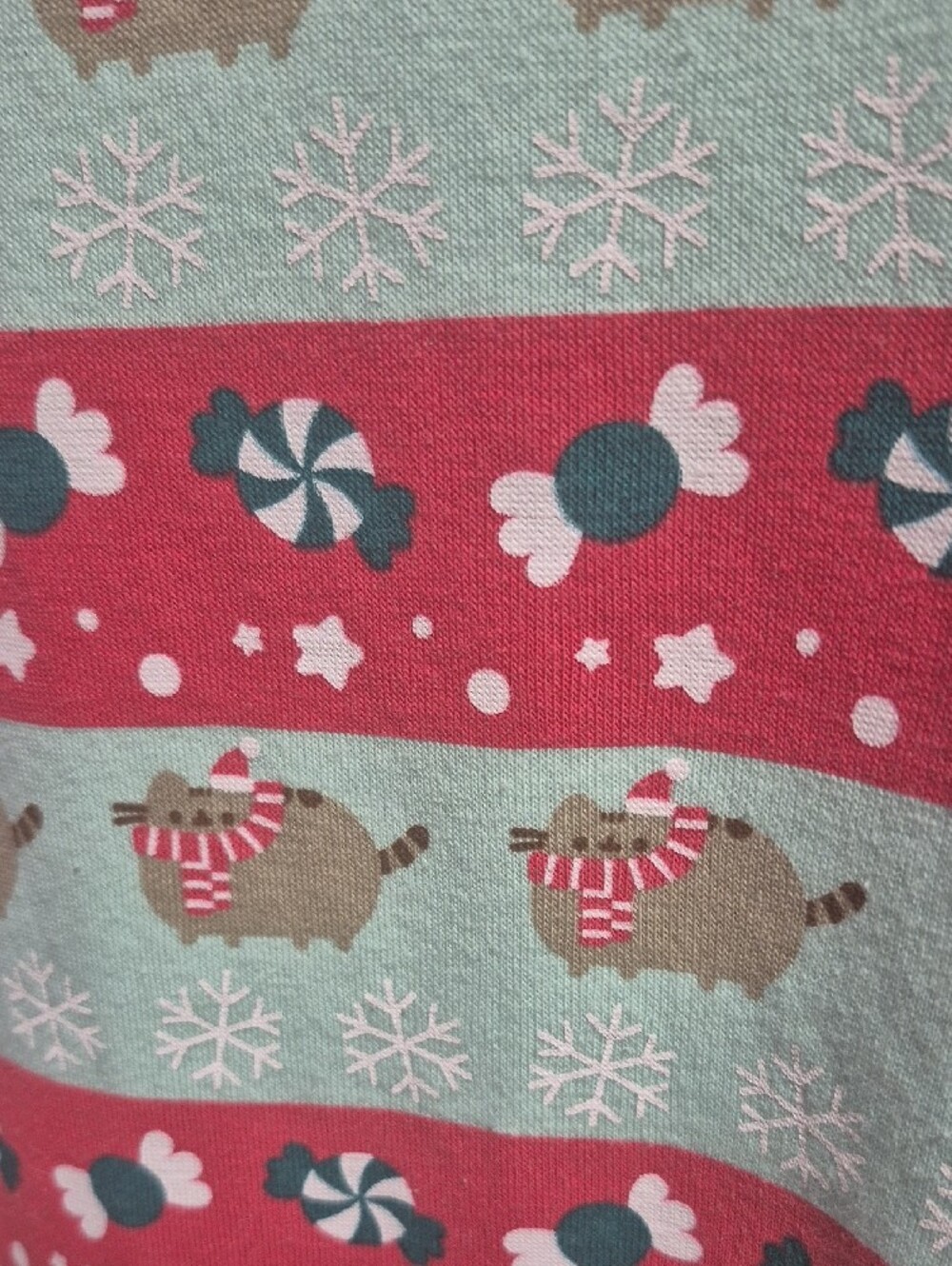 Pusheen Mint Green Graphic Sweatshirt - Picture 8 of 8